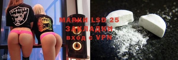 гашик Вяземский