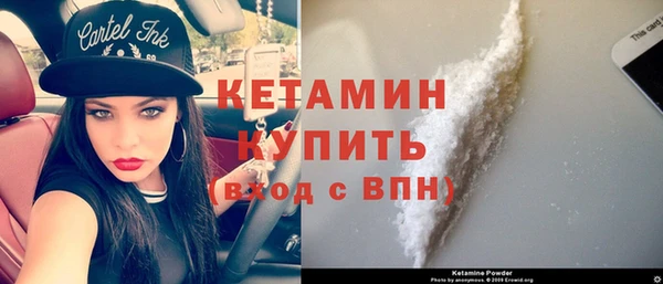 гашик Вяземский