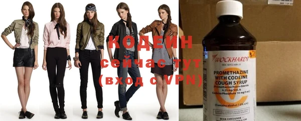 гашик Вяземский