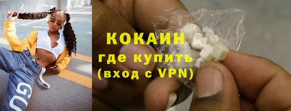 дживик Вязьма