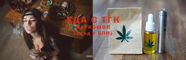 гашик Вяземский