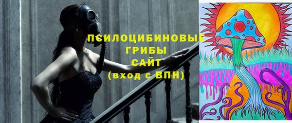 дживик Вязьма