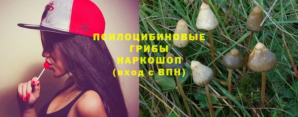 гашик Вяземский
