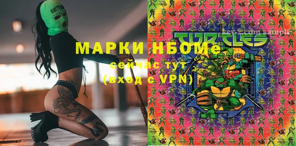 дживик Вязьма