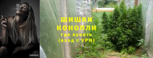 дживик Вязьма